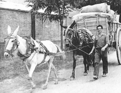 Áridos Pascual hombre con carreta